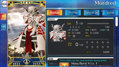 FATE/GRAND ORDER - Mordred