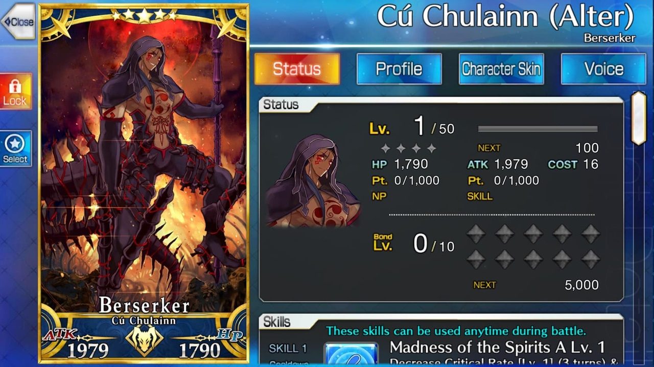 FATE/GRAND ORDER - Cu Chulainn (Alter)