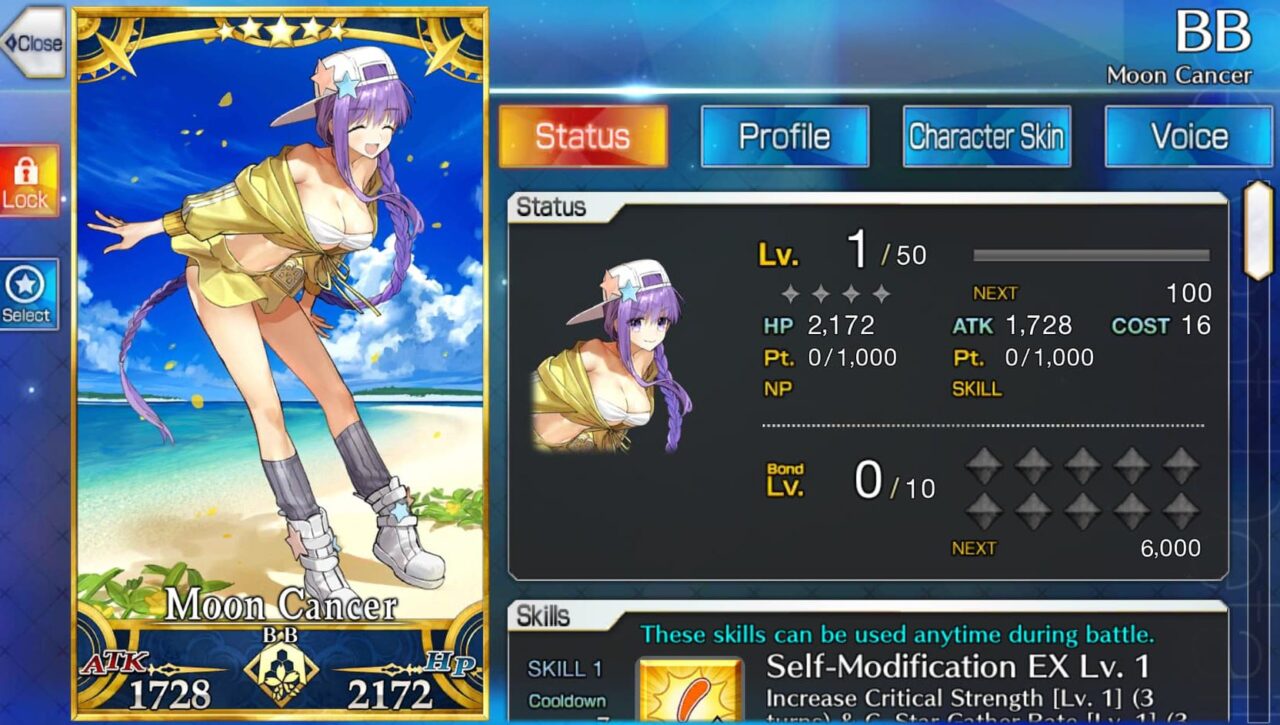 FATE/GRAND ORDER - BB (Summer)