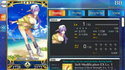 FATE/GRAND ORDER - BB (Summer)