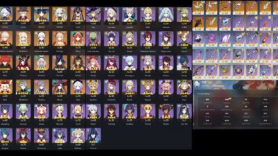 Genshin Impact  - [Asia Server]  -  A-R-I